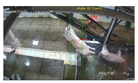 AI 点猪系统